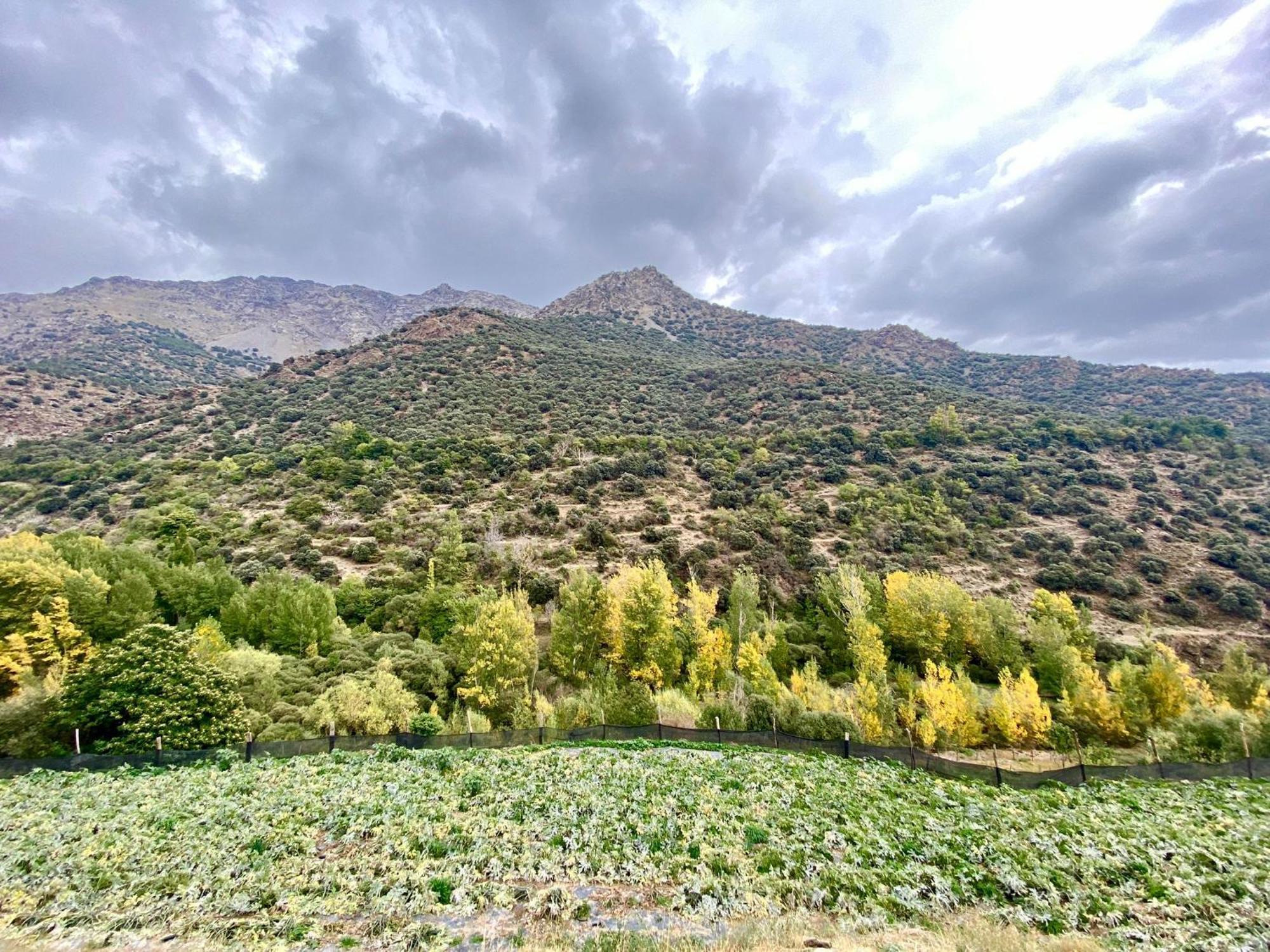Casa Rural Cortijo Molino Altero Trevélez Exterior foto